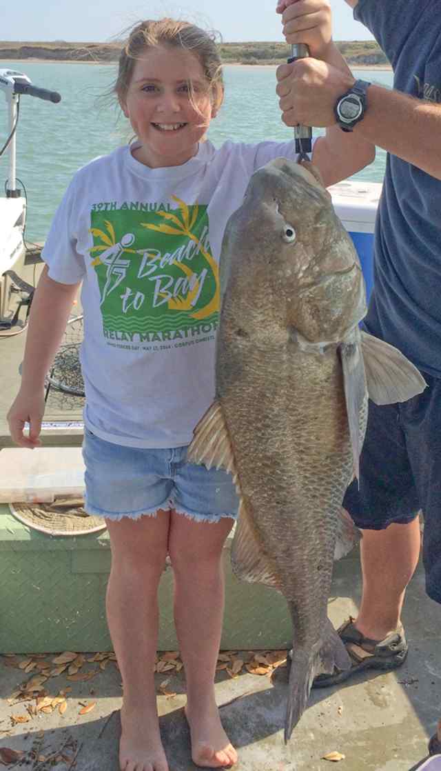 Ava Barter Ingleside40&quot; black drum CPR