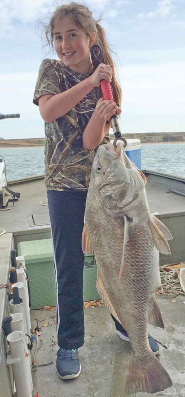 Bella Barter Ingleside42&quot; black drum CPR