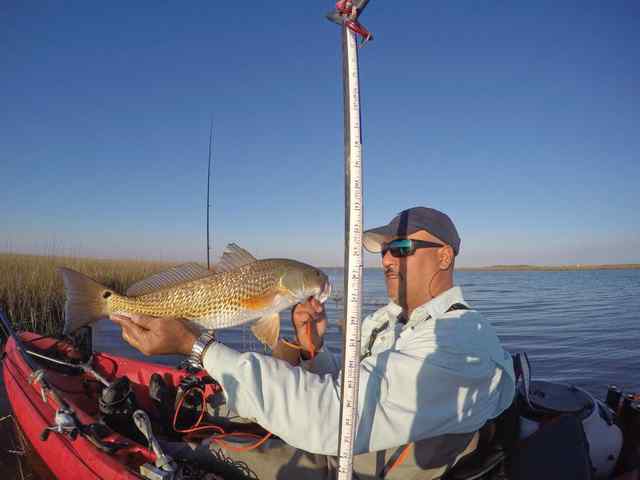 Gonzalo (Gonz) Cantu Christmas Bay23&quot; redfish, caught on gulf shrimp