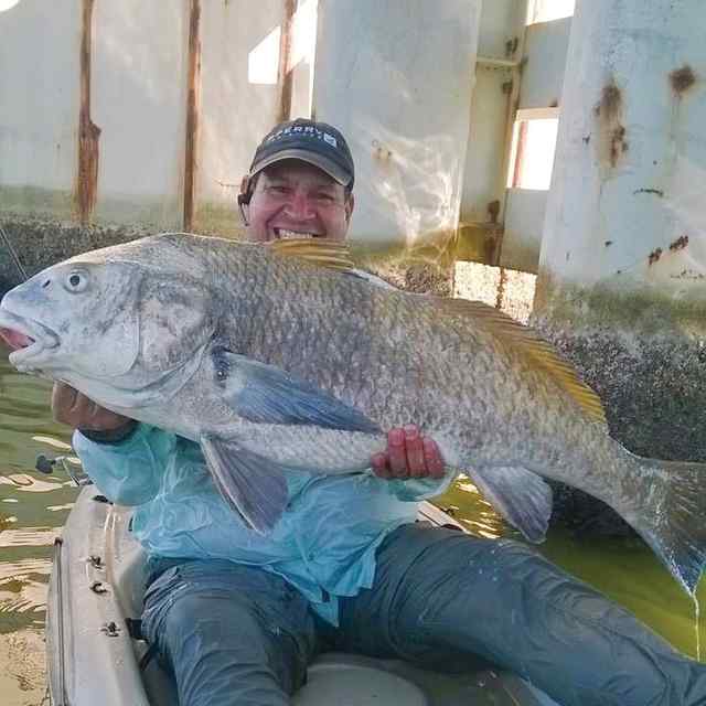 Ivan L. Flecha Laguna Madre38&quot; 25 lb black drum