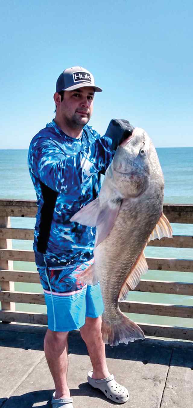 Andy Barr Port Aransas - 53" black drum