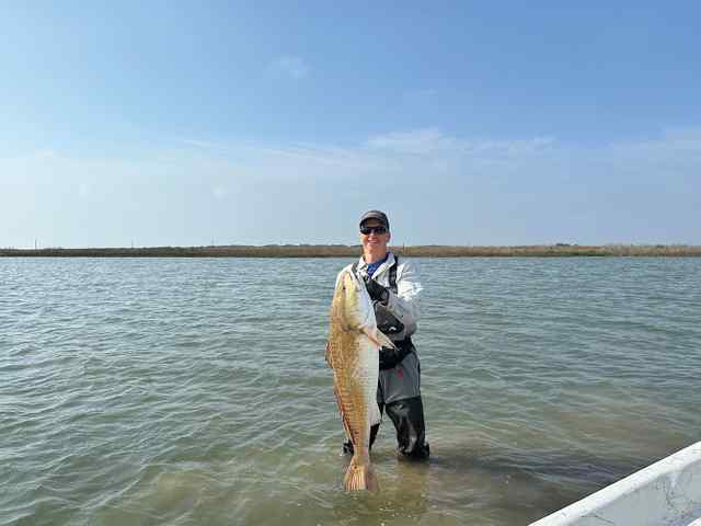 Mark Mullin 40" redfish, caught whille wade fishing
