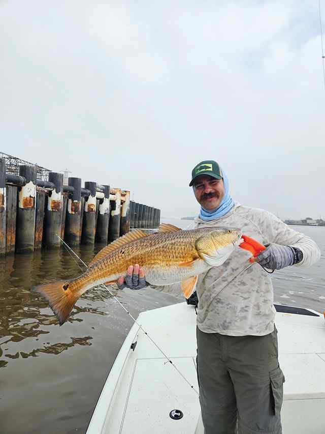 Stephen Burton Port Arthur - 35" bull red, caught on live shrimp