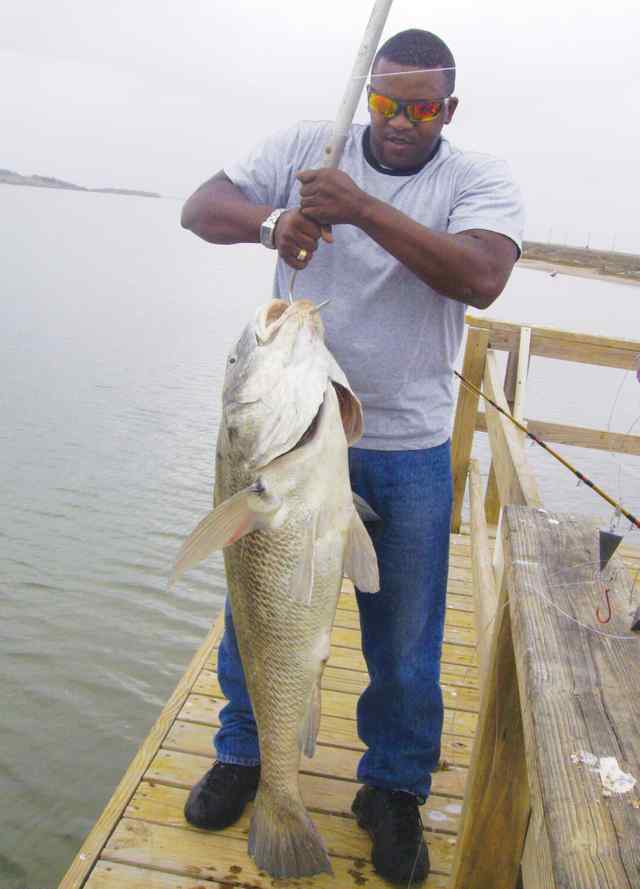 Glenn Addison Matagorda
49" black drum