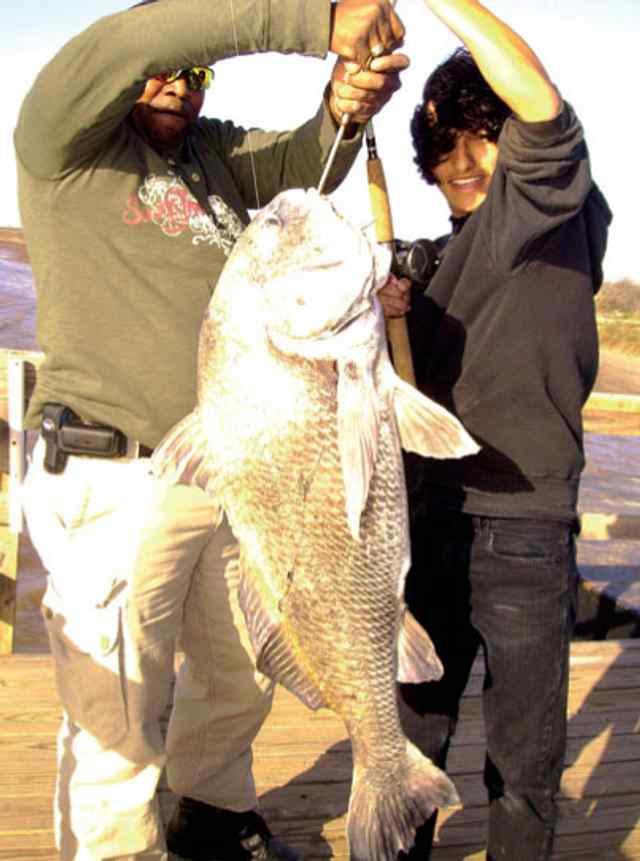 Eric Cortez Matagorda
48" butterfly drum