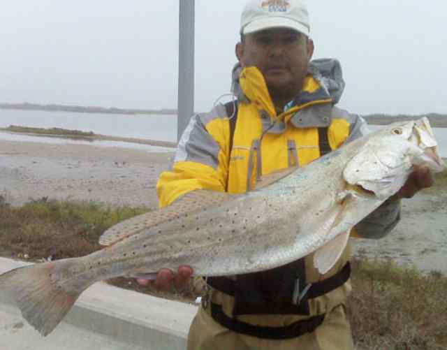Gator Garcia Corpus Christi
30” 10lb speckled trout
