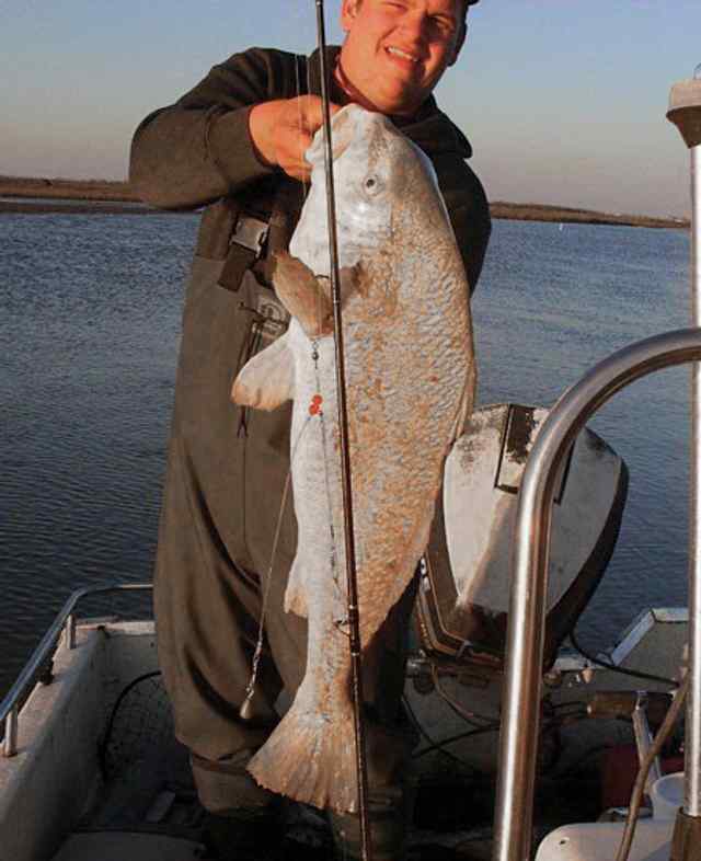 Michael Dean East Matagorda42&quot; black drum CPR