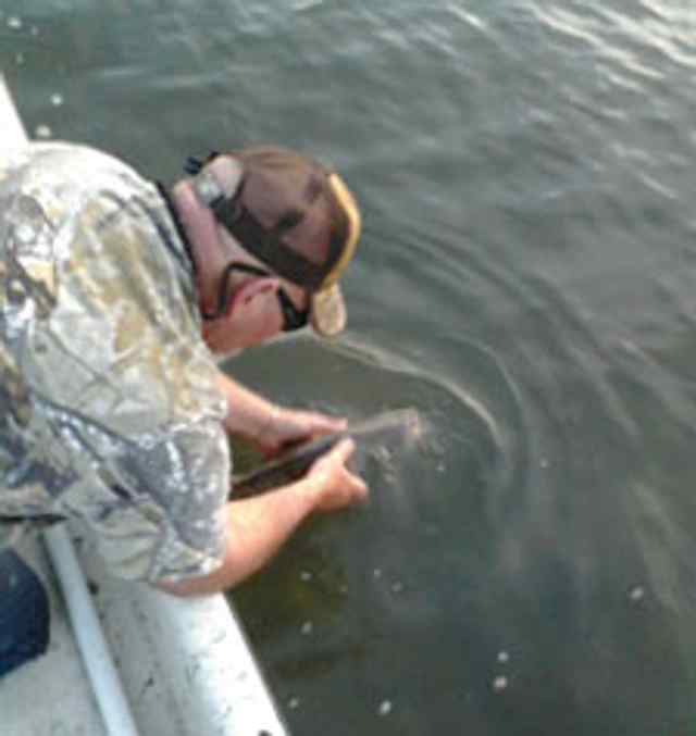 Charles Ogburn Redfish Baypersonal best trout!
