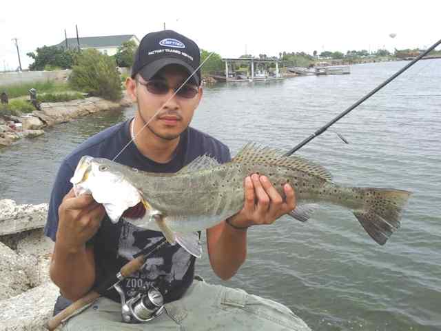 Anthony Longoria Port Mansfield28&quot; trout