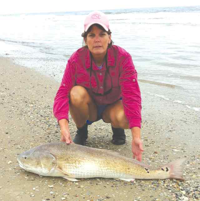 Shelly Baker Matagorda44&quot; bull red CPR