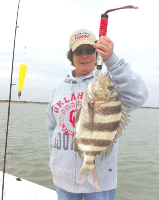 Linda Ballard Port O'Connor22&quot; sheepshead