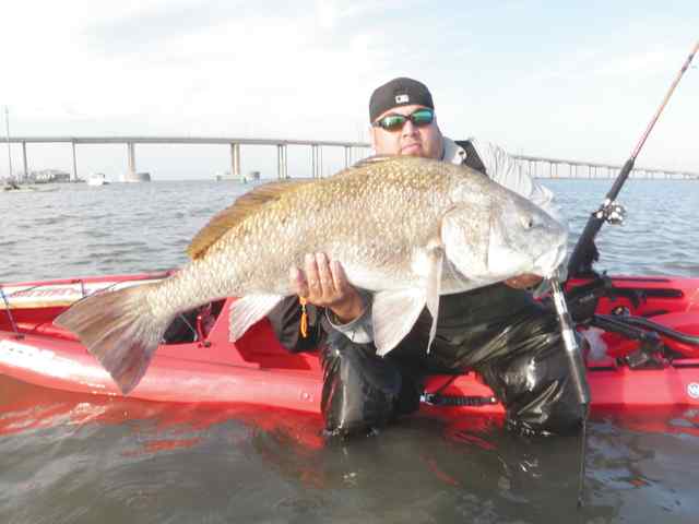 Daniel Sanchez, Jr. Laguna Madre42.5&quot; black drum CPR