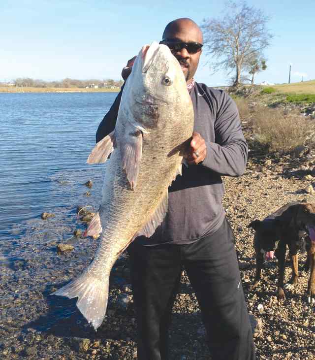 Robert Traylor Freeport30lb black drum