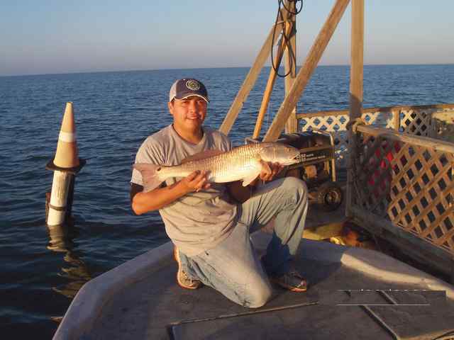 Pablo Armendariz South Padre Boat House26&quot; redfish