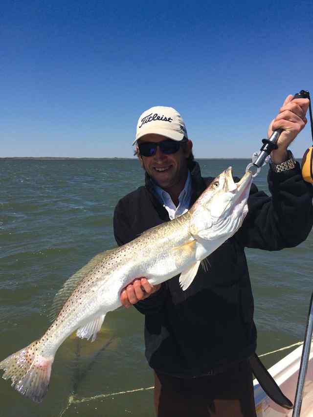 Jeff Atchely King Ranch shoreline31.5&quot; 10lb trout CPR (with help from Will Griffin)