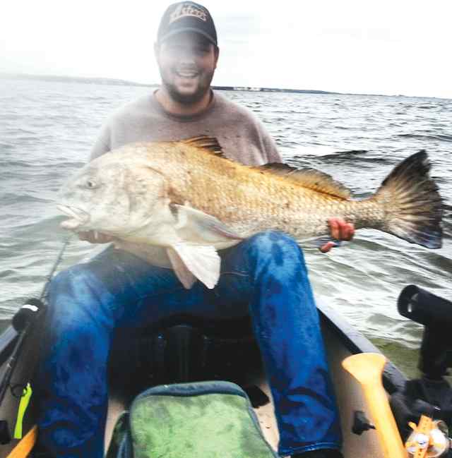 Kody Kubosh 46&quot; black drum, fought in canoe with light tackle for 15 min