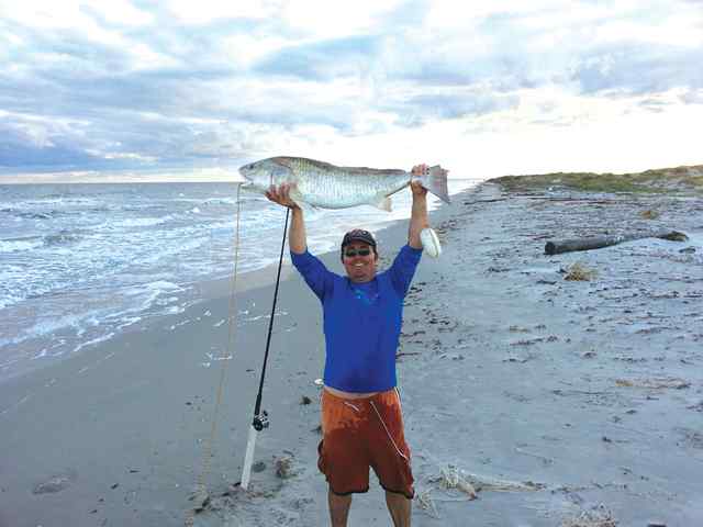 Jay Shellady Sunday Beach40&quot; bull red