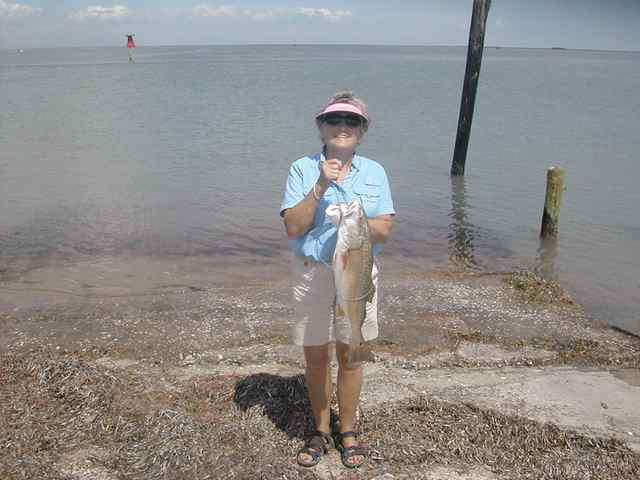 Lorie Kraus Aransas Pass27&quot; redfish