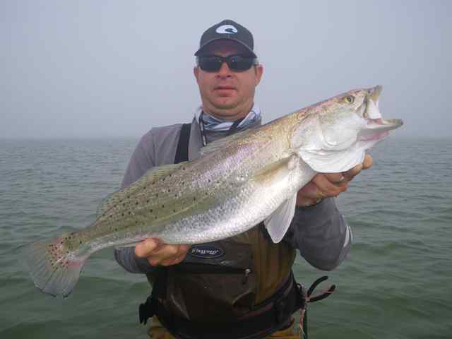 Pat Stafford East Matagorda28&quot; 9.25 lb trout CPR, caught on tequilla sunrise Corky fat boy