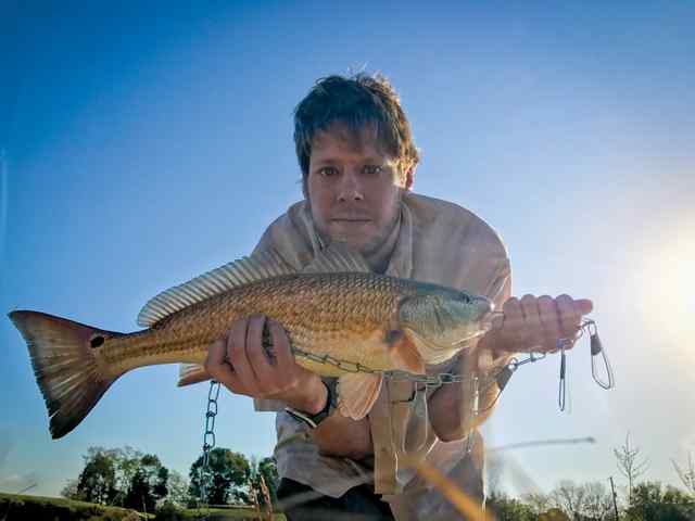 Chris O'Malley Hitchcock - 24" redfish