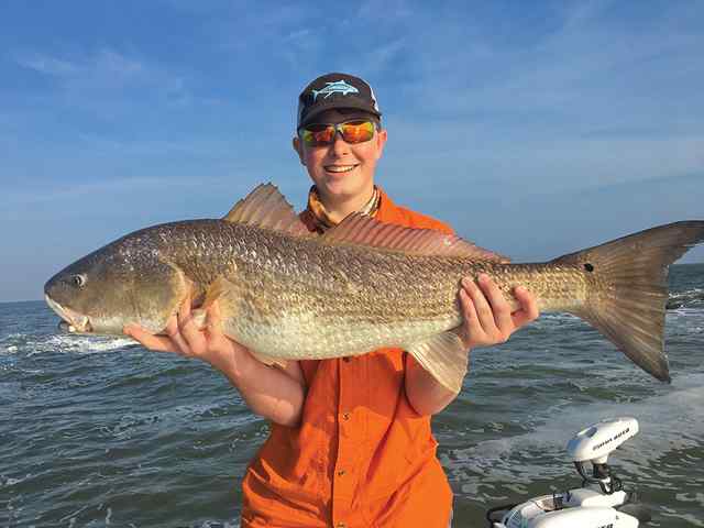 Carter Anderson Galveston North Jetty - 38" bull red, caught on blue crab