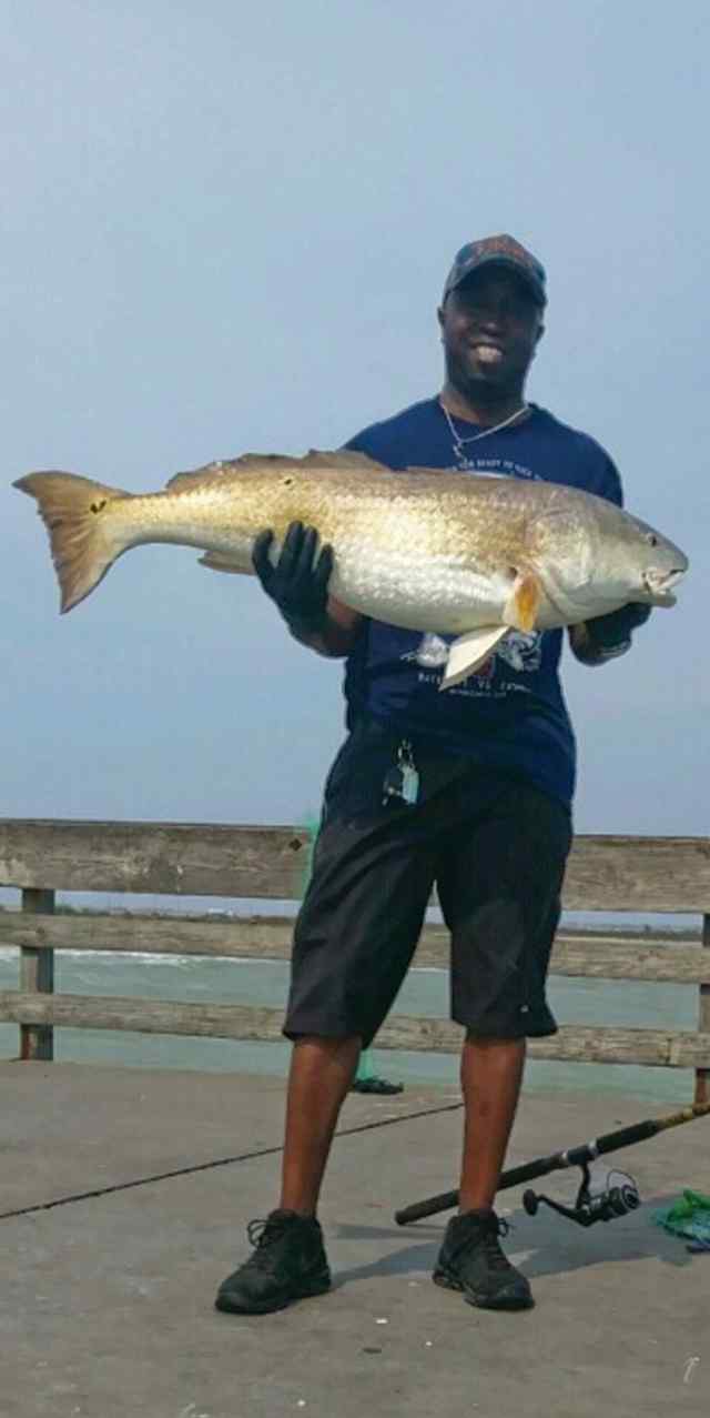 Tyrone Clayton Indian Point - 41" bull red, 