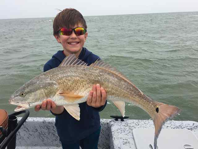Luke Brasher Rockport - 28" redfish