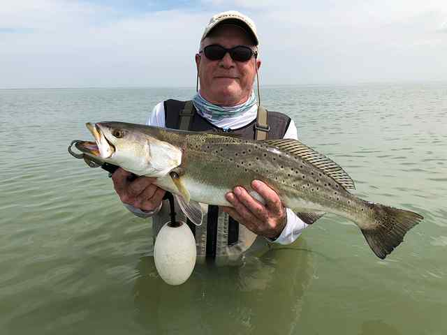 Carl Hooker Baffin Bay - 8 lb trout CPR, caught on a 5" morning glory Bass Assassin