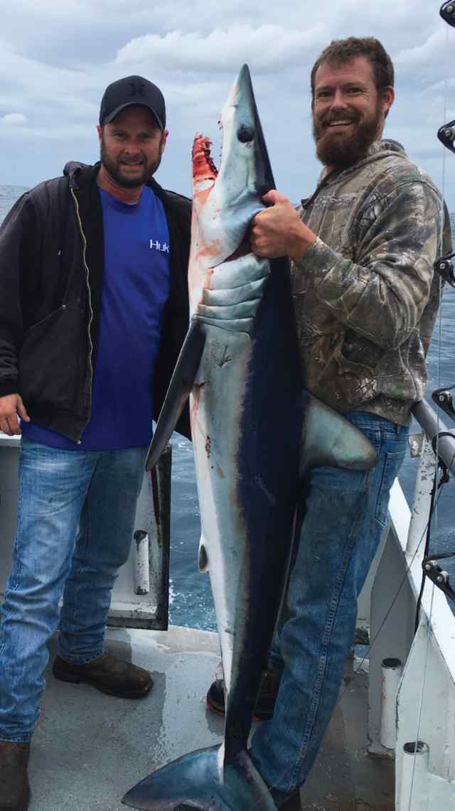 Kelly Underwood offshore - mako shark