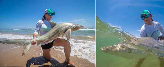 Cynthia Michelle SPI mile 19 - 47" blacktip, tagged & released