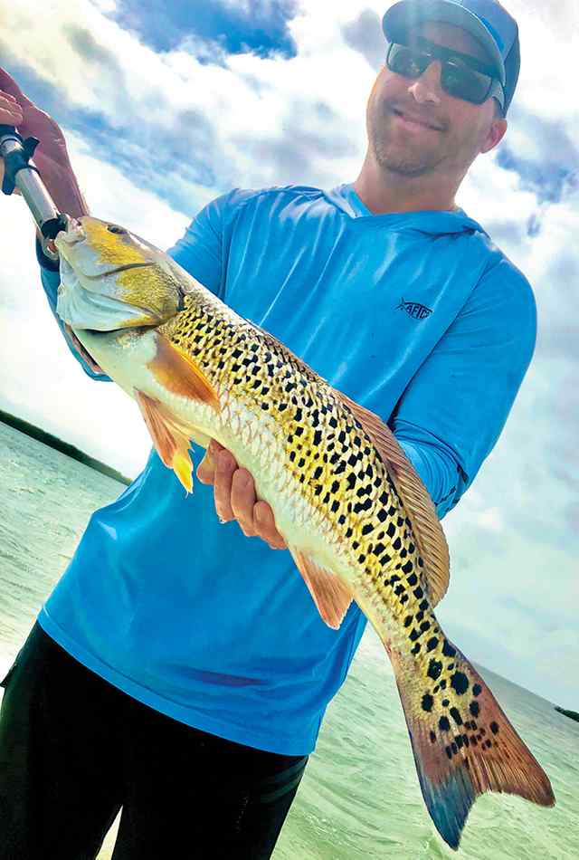 Colby Renfro Port Mansfield - 25" redfish, "I havent seen a red fish with this many spots! Truly a beautiful fish."