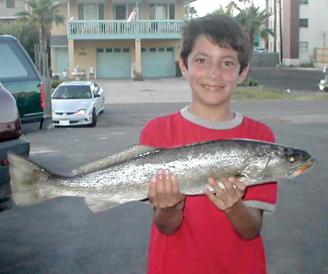 Lionel Oliveria III 26.25&quot; first keeper trout!