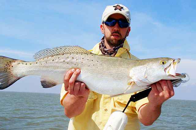 Kevin Berry East Matagorda
8lb trout