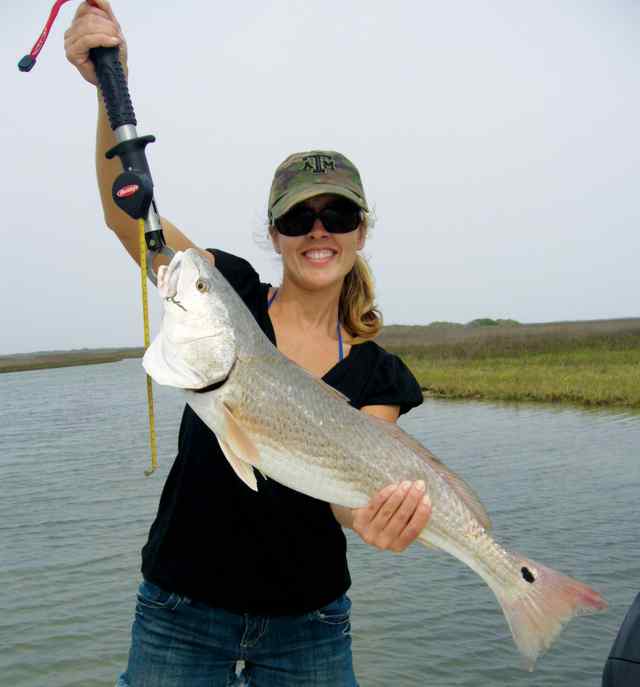 Laura Ledbetter Rockport
27.8" redfish