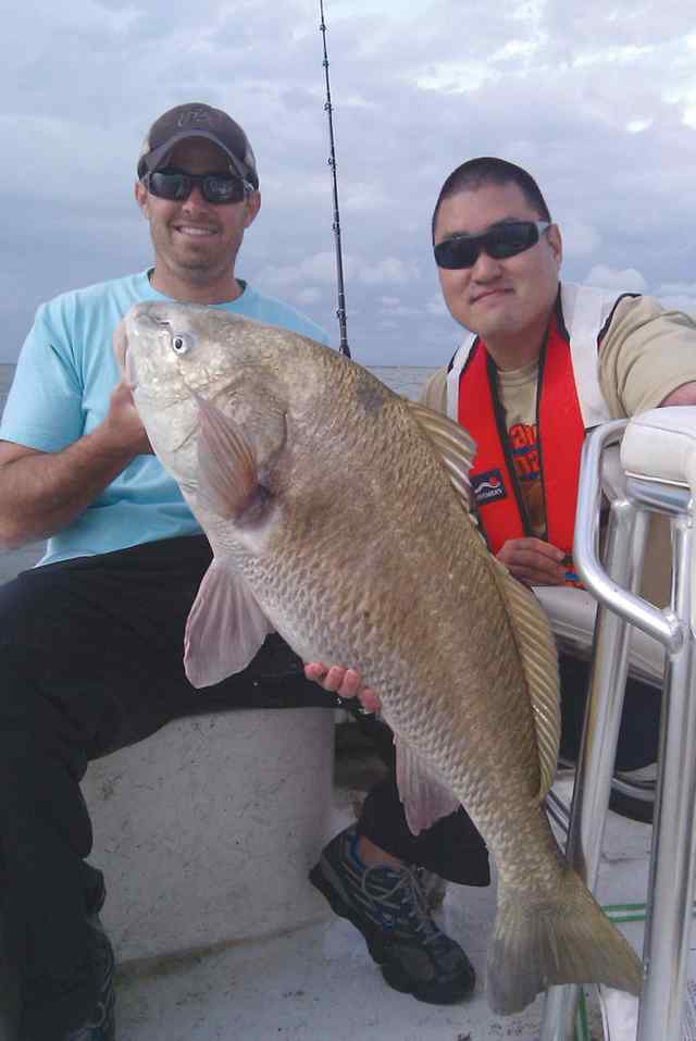 Matt Lammers Galveston Bay40&quot; 41.5lb black drum CPR