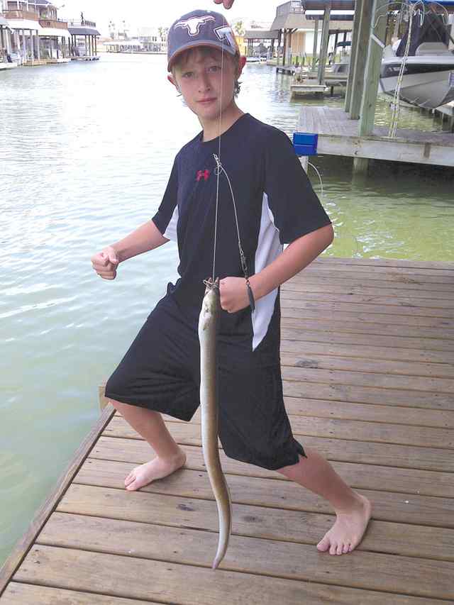 Josh Barletta Tiki Island canal2' eel