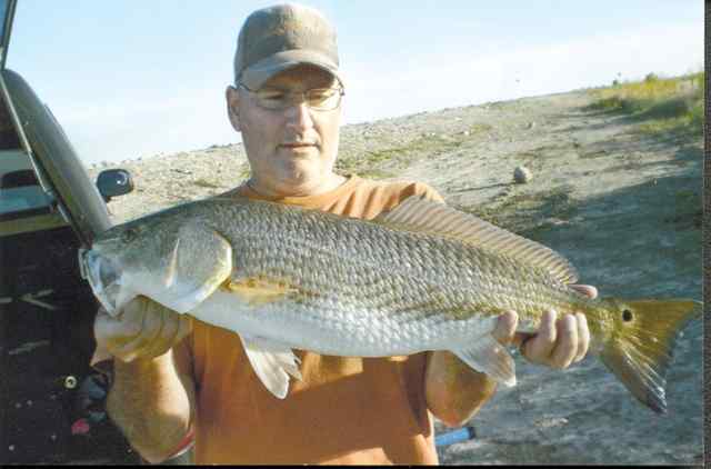 Ralph Hanson Pleasure Island28&quot; redfish