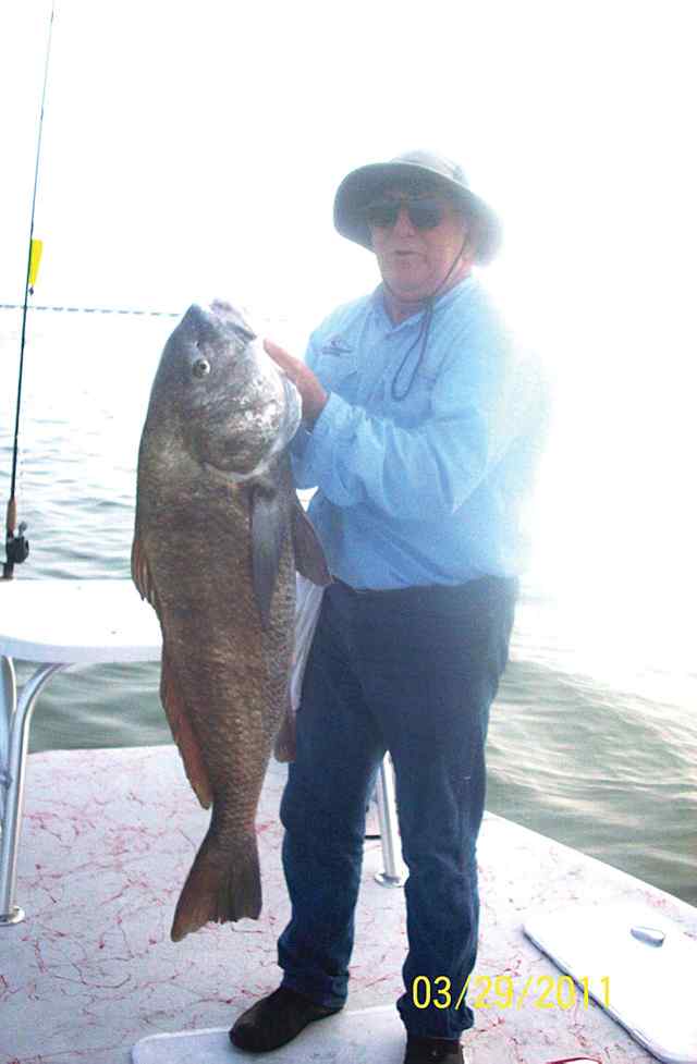 Dennis Migi Aransas Passover 42&quot; 50lb black drum