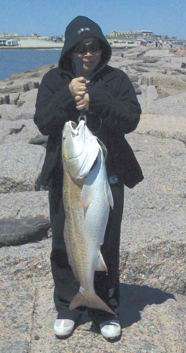 Paulina Sanchez Port Aransas38.75&quot; bull red