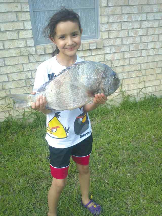 Leilani Amaya South Padrefirst sheepshead!