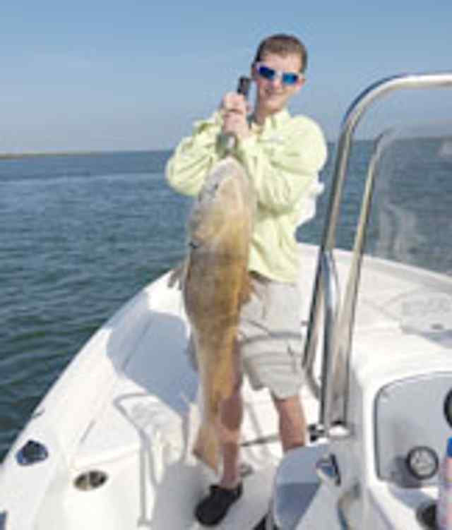 Henry Greive Port O'Connor40lb black drum