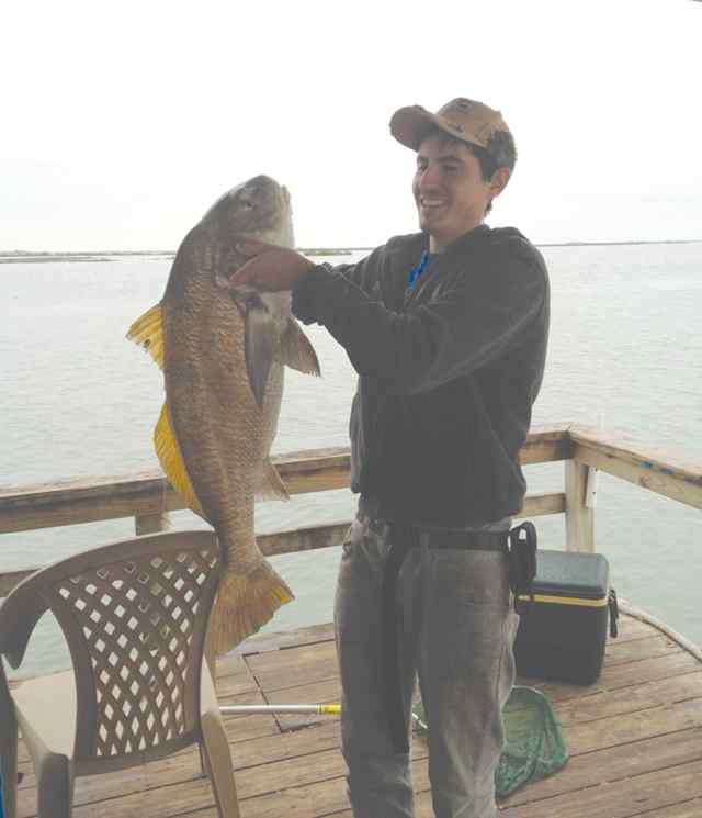 Stephen Wengler Laguna Madre40&quot; black drum