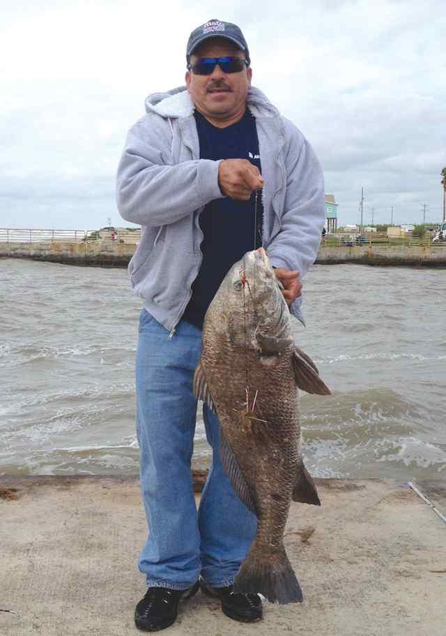 Facundo Ferman Rollover Pass45&quot; black drum