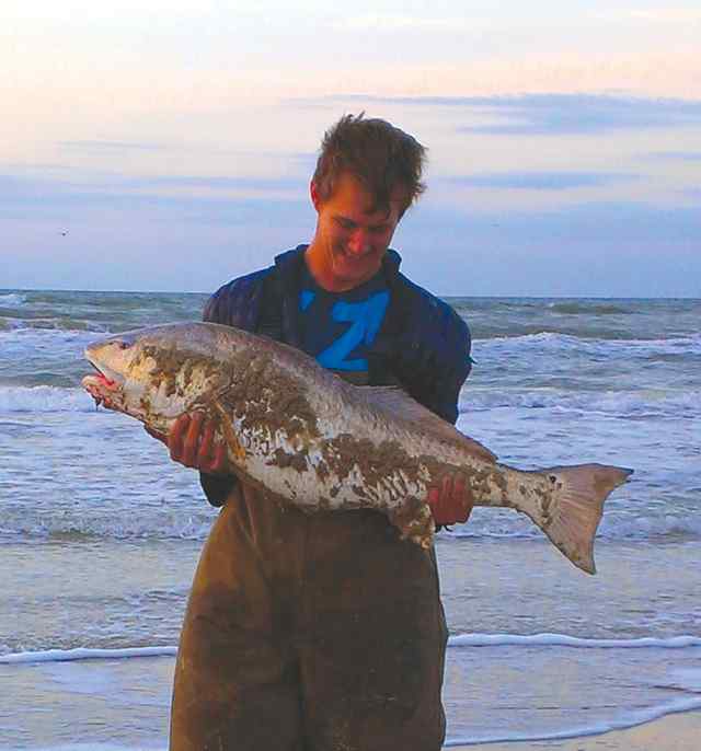 Robert Franklin Matagorda45&quot; bull red