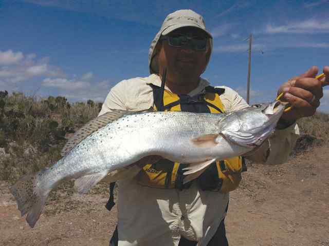 Frank Pardo Laguna Vista25.5&quot; personal best trout!