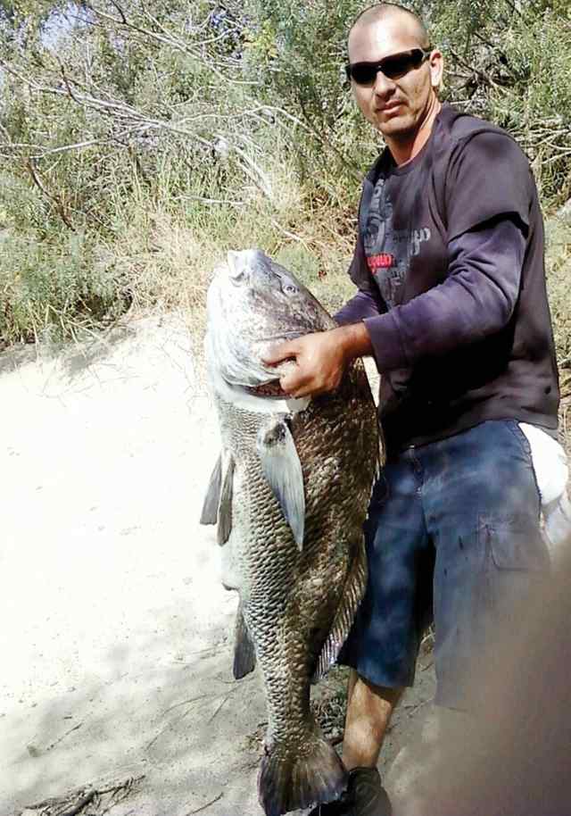 Jaime Valdez Victoria Merge Canal36&quot; 48lb black drum