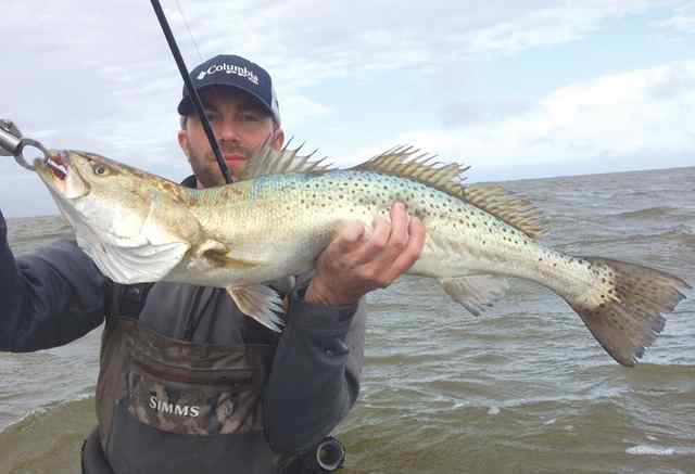 Zach Corcoran 29.75&quot; 8.25 lb trout CPR, caught with a MirrOlure She-dog topwater