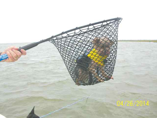 Donna Teague West Bay24&quot; red, Cooper saw the redfish coming in &amp; decided to leap in get it for me