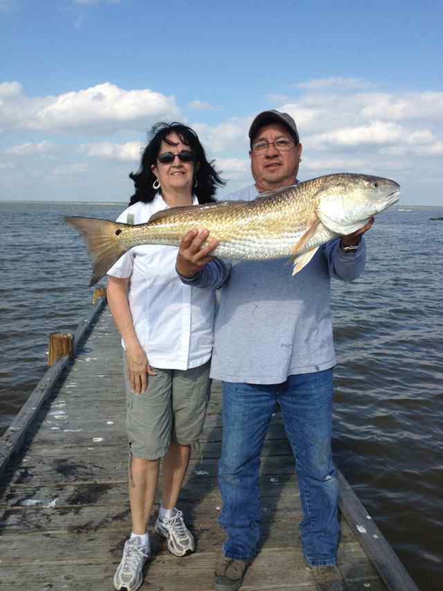 Anna Morales Alazan Bayredfish