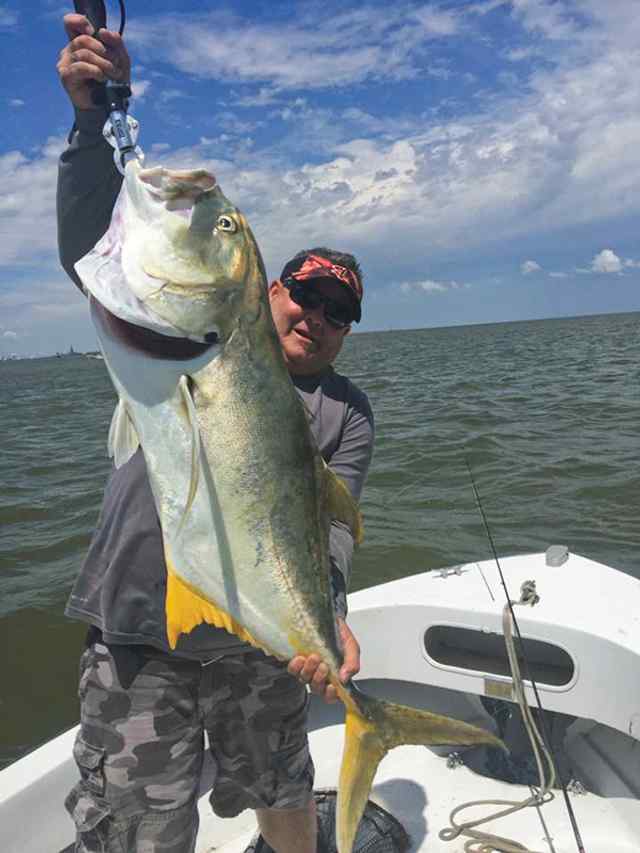Jonathan King Galveston43&quot; 45 lb amberjack, caught on live shrimp in 6 feet of water under the train tracks/causeway; tackle - light/7-ft Penn Rod and Reel; 15-lb test; 45 minute fight